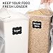 WHITE FEATHER SUPPLIES 8.5L/287Oz Extra Large Airtight Food Storage Containers (2 PC) with Lids, Kitchen and Pantry Organization Containers for Baking Supplies, Cereal, Flour, Sugar, Rice (BPA Free)