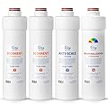 iSpring F4RO5004FAK 1-Year Replacement Filter Pack for RO5004F-AK Tankless Reverse Osmosis System