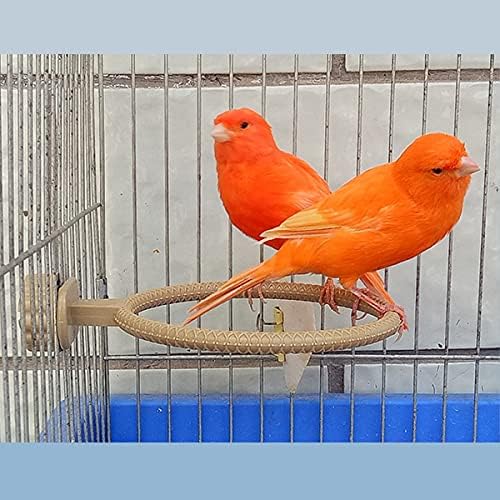 FOIBURELY Nido de pájaro canario pinzón loro conjunto con plástico y textil (4.5 pulgadas)