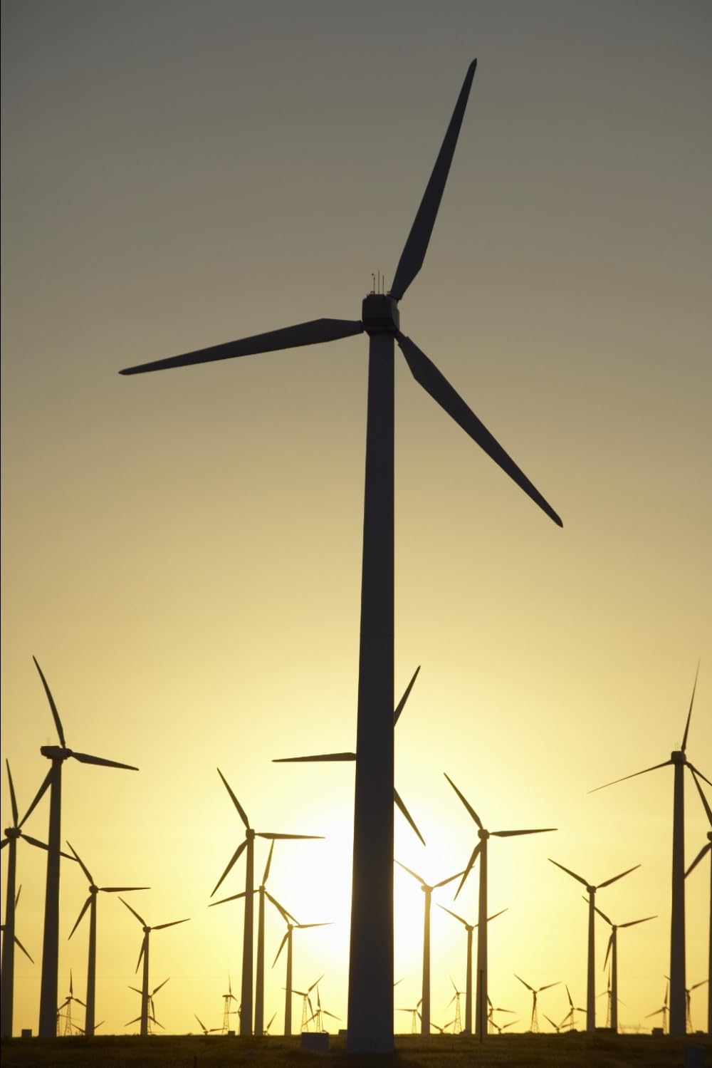 Beyond the Tariff: Strategic Risk Allocation in Power Projects
