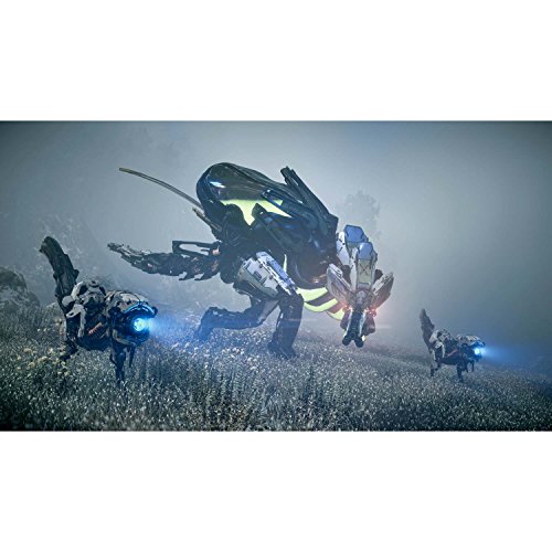 Image of Horizon Zero Dawn - PlayStation 4