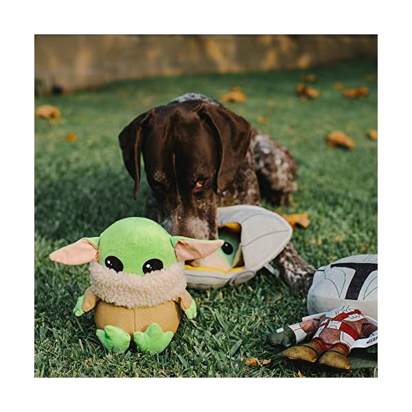 Buckle-Down Dog Toy, Mandalorian, Plush Squeaker Star Wars The Child Sitting Pose, Baby yoda, 8″ x 8″ (DTPT-SWBIF) for All Breed Sizes Buckle-Down Dog Toy, Mandalorian, Plush Squeaker Star Wars The Child Sitting Pose, Baby yoda, 8″ x 8″ (DTPT-SWBIF) for All Breed Sizes