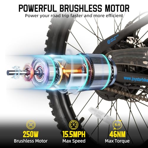 JOYSTAR 20