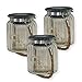 Produktbild ISOTRONIC LED Solarlampe (3er Set) Solarleuchte/Solar Laterne, Hängeleuchte für Garten, Balkon und Außen  10 LEDs pro Lampe  Einmachglas/Vorratsglas Deko für Party, Fest, Hochzeit