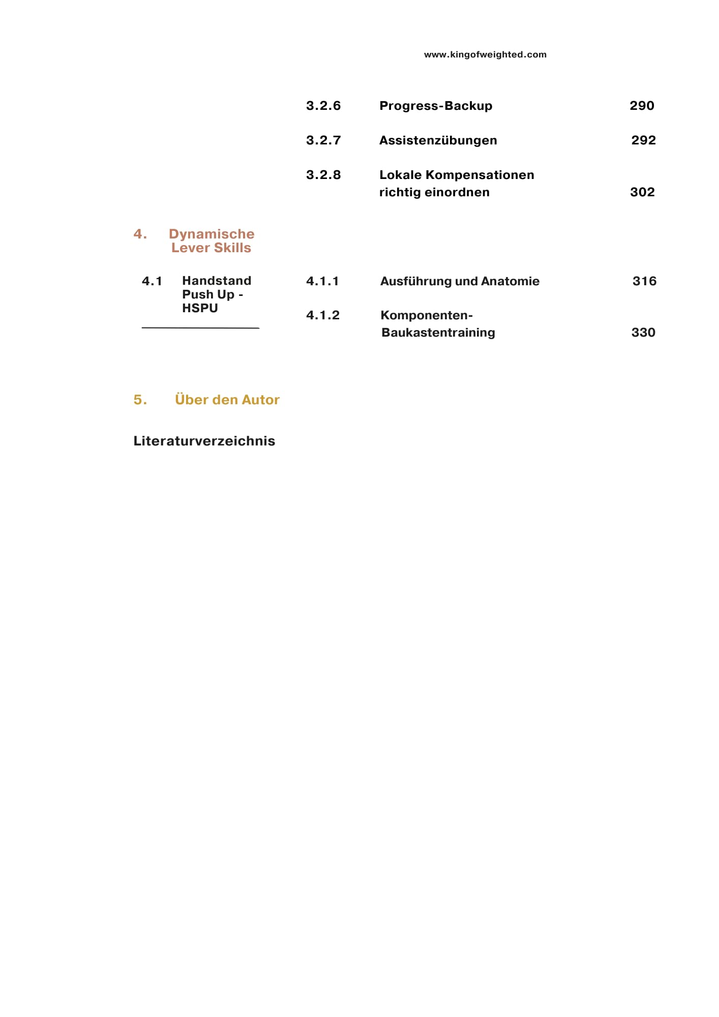 Understanding Calisthenics - Wie du systematisch Calisthenics Skills erlernen und dein Weighted Calisthenics verbessern kannst
