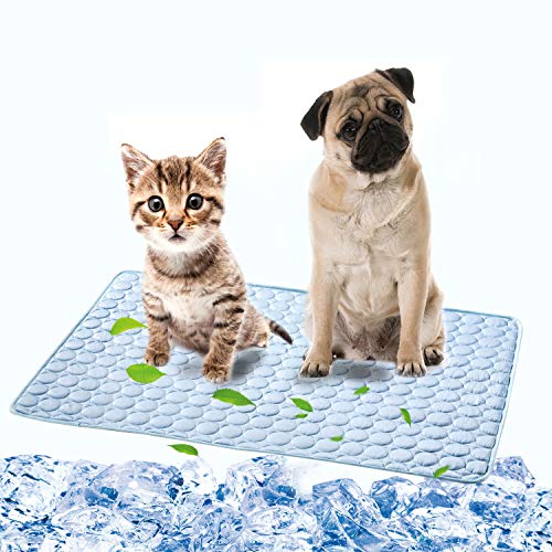 Best Cooling Pads For Large Dogs 10Reviewz