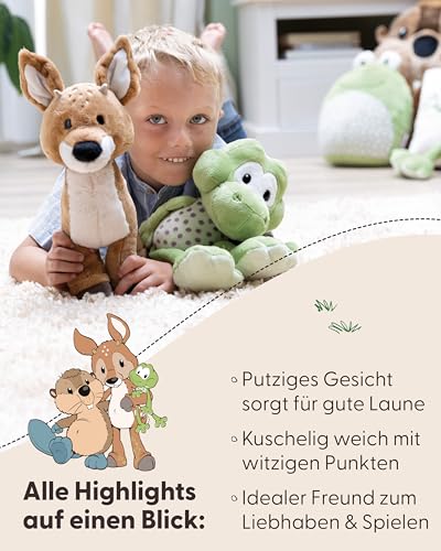 NICI Kuscheltier Frosch Fridolin Frog 18cm - grün - Weiches Plüschtier – niedliches Stofftier zum Kuscheln & Spielen – tolle Geschenkidee für Kinder & Erwachsene - 62266