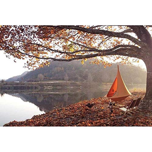 Image of Double Cacoon Hanging Chair for Two - Cozy Indoor /Outdoor Hammock with Polyester Canvas, 440 lb Capacity, Includes 18ft Rope & Carabiner (Turquoise)