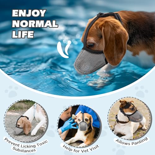 Image of Dog Muzzle,Mesh Soft Muzzle for Small Medium Large Sized Dogs, Breathable Reflective Adjustable Puppy Muzzles with Collar for Scavenging Grooming Biting Chewing,Allows Panting and Drinking(Grey L)