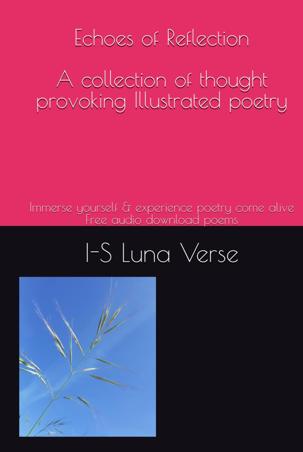 Echoes of Reflection: Thought Provoking Poetry