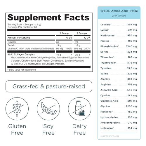 Image of Ancient Nutrition Collagen Peptides Powder, Multi Collagen Protein, Women & Men, Vitamin C, Probiotics, Hydrolyzed Collagen, Supports Skin, Joints, Gut Health, Vanilla, 60 Servings (Pack of 2)