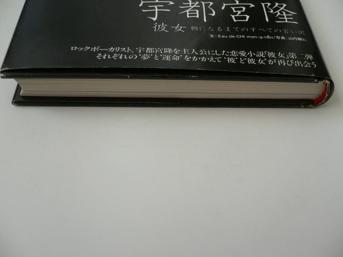 Amazon.co.jp: 宇都宮隆 彼女朝になるまでのすべての言い訳 TMN TM