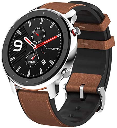 Amazfit GTR 47mm スマートウォッチ SMS/ライン通知日本語対応 最大24日使用可 健康管理時計 内蔵GPS + GLONASS 心拍数 天気予報 音楽再生 有機EL 454 X 454ピクセル ステンレスバージョン グローバル版