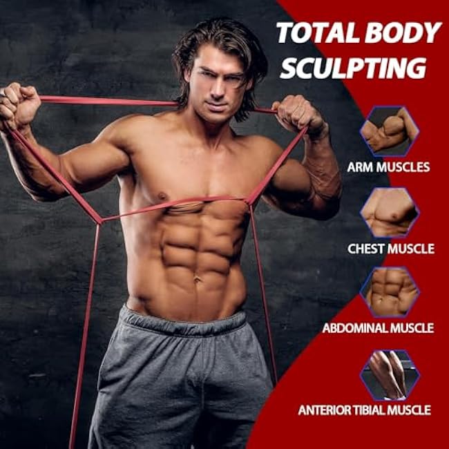 LEEKEY Resistance Bands, Exercise Bands with Handles,Pull Up Assist Bands - Bands for Working Out,Band for Men and Women Fitness Training, Physical Therapy,Home Workouts