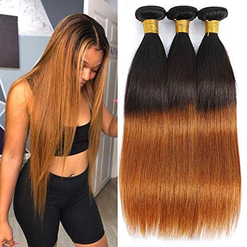 Ombre Brown Straight Human Hair 3 Bundles Two Tone 1B30 Brown Human Hair Bundles Double Weft Ombre Weave Human Hair 8a Grade Color Bundle Dark root 18 20 22 Inch