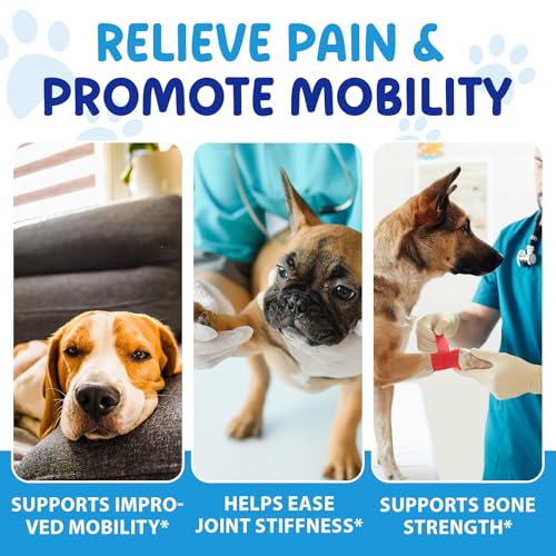 Gelenk- & Knochenschutz für Hunde, 100 % Natürliche, Unterstützt Beweglichkeit und Flexibilität, Ergänzungsmittel für Hüften und Gelenke für Hunde, Mit Speckgeschmack, 60ml
