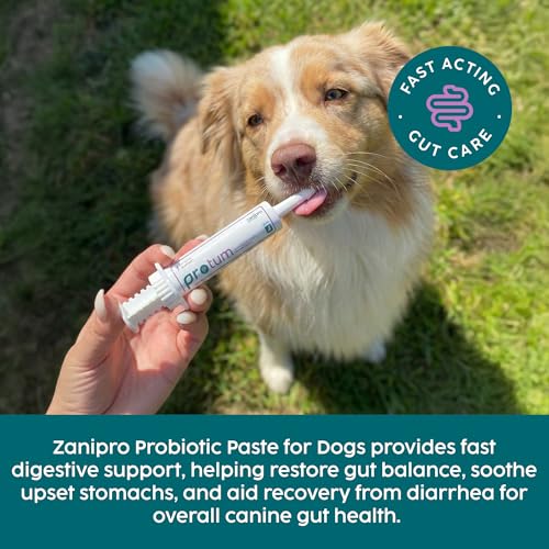 Zanipro Probiotische & Präbiotische Paste für Hunde & Katzen – Gegen Durchfall, Durchfallmittel, 3 Mrd. Lebende Keime, Darmflora-Aufbau, Darmkur & Darmsanierung, Natürlich nach Wurmkur | (150ml)