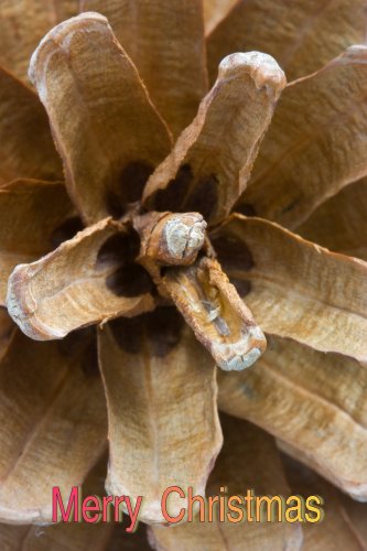 Preisvergleich Produktbild Catalyst Game Labs CAT35713 Spielset BattleTech: Recon Lance Pack