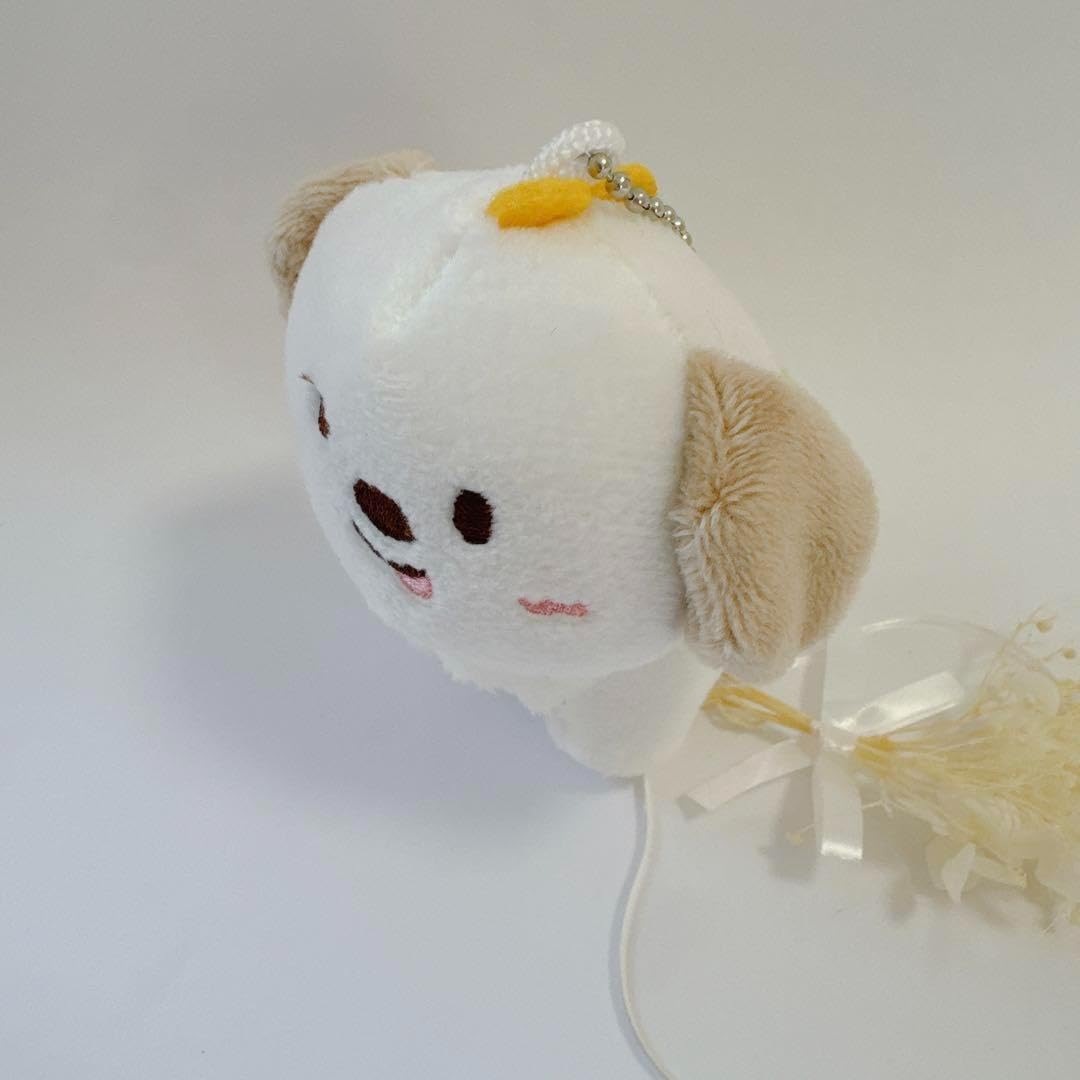 Amazon.co.jp: Korean Shop Buy RIIZE Rise Anton Plush Keychain