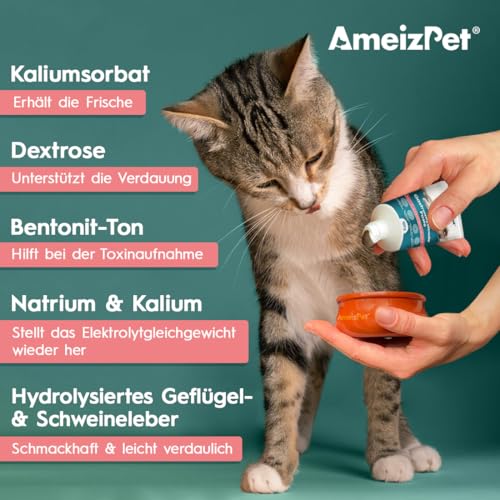 AmeizPet Gastro Intestinale Paste für Katzen, Unterstützung der Darmgesundheit und Darmflora, Verdauungsunterstützendes Ergänzungsmittel für Katzen und Kätzchen, 100g (3.53 Oz)