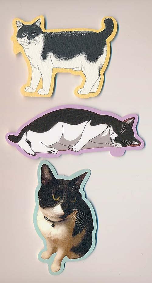 Amazon.co.jp: TVアニメ化&実写映画化決定 オジロマコト 君は放課後  