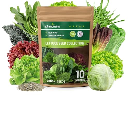PLANTMEW Heirloom Lettuce Seeds - 10 Varieties, Non-GMO Seeds for