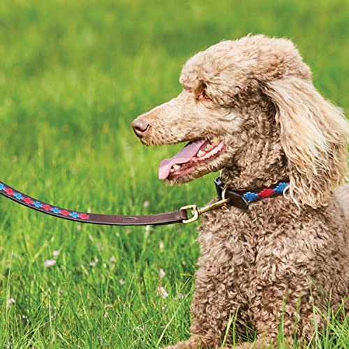 WeatherBeeta Polo Leather Dog Collar, Beaufort Brown/Pink/Blue, Small - Image 3
