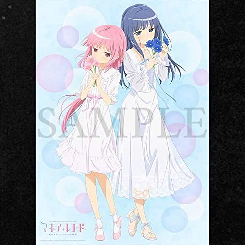 Amazon.co.jp: 魔法少女まどかマギカ外伝 マギアレコード 環