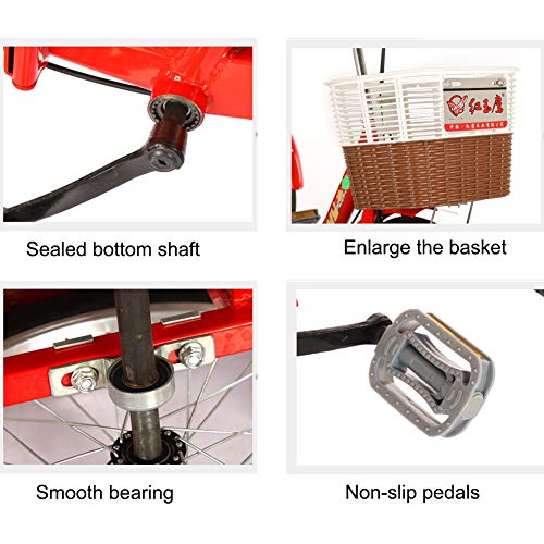 ZFF 20 Inch Adult Tricycle with Back Seat and Basket Trike Bike for Beginner Riders Single Speed 3 Wheel Three-Wheeled Bicycles Adjustable Height (Color : Red)