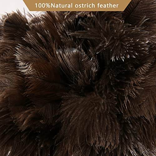 Tharaht 1Pcs Ostrich Feather Duster Fluffy Natural With Wood Handle Reusable Washable For Cleaning Keyboard,Home,Car,Office Ostrich Feather Duster,16 Inch #TOP6