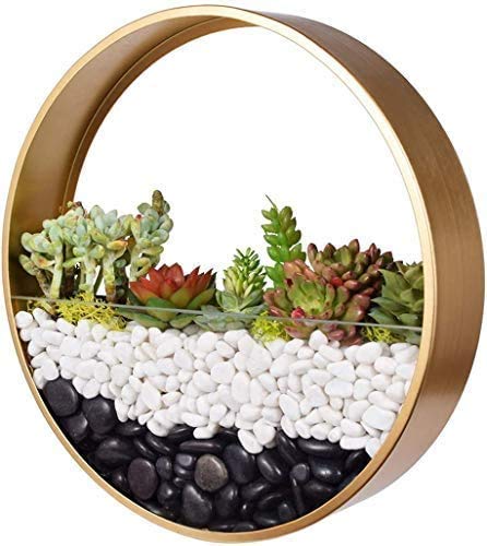 Ecosides Macetas Colgantes Pared Modernas,Ronda Metal Maceta para Flores con Soporte Extraíble para Sala de Estar,Balcón,Jardín Montaje de Pared Macetero Plantador con Orificio de Drenaje Cover