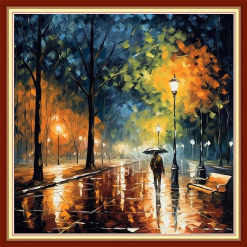 Image of Dimxvean Stamped Cross Stitch Kits,Cross Stitch Kits for Adults Beginners,Embroidery Kits Full Range of Cross Stitch Stamped Kits Needlepoint Kits Cross Stitch Patterns-Night View rain 18x18 inch