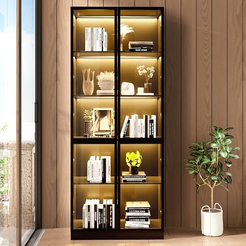 Display Storage Cabinet with Glass Door, LED Lights,Showcase for Collections, Perfume, Vinyl Albums, Bookcase for Home Office, Living Room, Clinic, Pantry (5 Layers-Black)