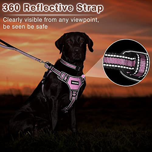 Winsee Step In Dog Harness Collar And Leash Set, All-In-One Reflective No Escape Dog Harness With Adjustable Buckles For Pet Puppies, Small, Medium, Large, And Extra-Large Dogs #TOP4