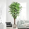 62ft ficus artificial trees with 3 natural curved trunks 74 tall lush faux tree for home decor indoor green lifelike fake ficus tree artificial plants  urban country home decor