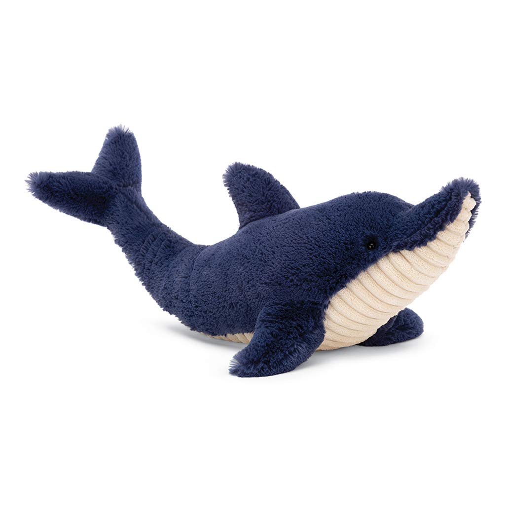 Jellycat Dana Dolphin Stuffed Animal : Amazon.sg: Toys