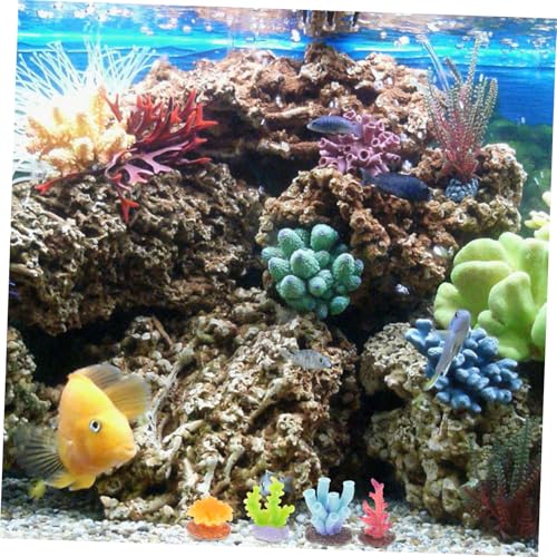 VERDANVERSE 6 ?^ʐFX_ pI[ig ^NpATS Ϗ܋ANAEfBXvC @ׂȍוƑϋv