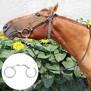 All Purpose Ring Bit, Purpose Horse Ring Trens All Purpose Ring Trens, Stevig paardengereedschap Paardengereedschap voor paard Paardenring Roestvrij stalen ring(large)