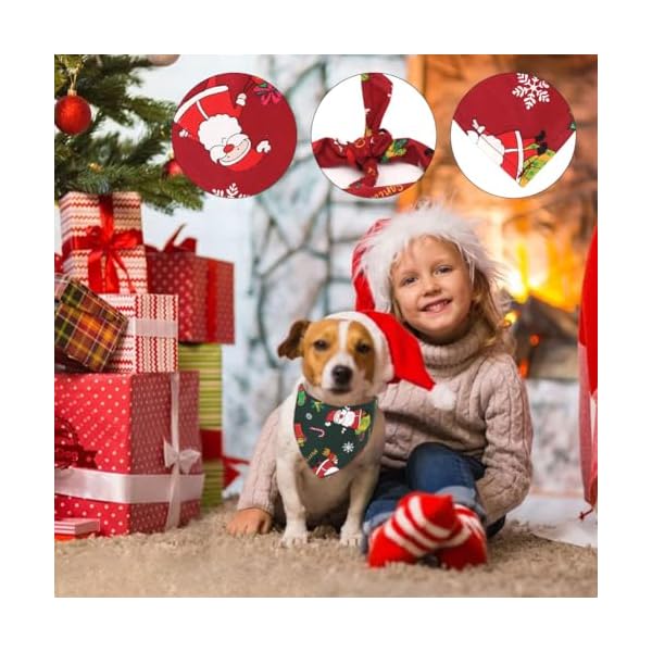 Bandanas de Noël pour chien – Lot de 2 écharpes rouges et vertes festives 51kSO0k6xBL. SS600