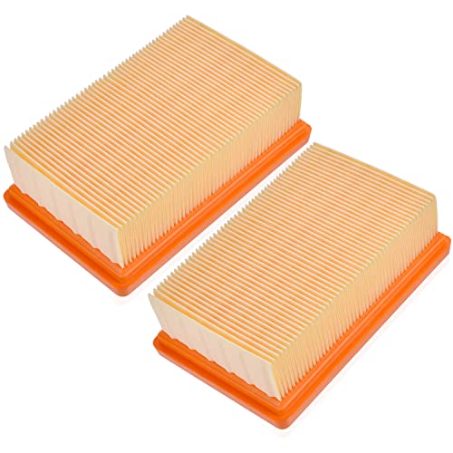 Rebirthcare 2 filtri pieghettati piatti per