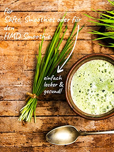 VEGAN FLOW® Bio Rohkost Gerstengras Pulver, 500g, deutsche Anbaufläche - Image 3