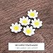 Edible Daisy Cake Decorations, 36 Count White and Yellow Sugar Flowers, Unwired 3/4 Inch, Daisy Cupcake Toppers, Edible Flowers Cake Decorations by Chef Alan Tetreault, Global Sugar Art