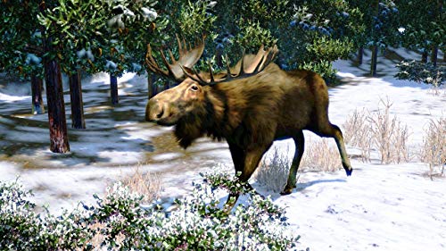 Image of Cabela's North American Adventures 2011 - Xbox 360 (Renewed)