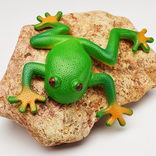 Generisch 3 Stuck Realistische Frösche Aus Gummi, Frosch-Simulation, Dehnbares Spielzeug, Stressabbau, Sensorisches Spielzeug, Parodie, Stressabbau, Spielzeug Kinder Und Erwachsene