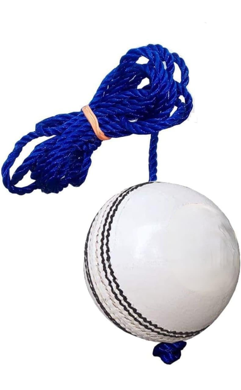UP15 Leather Cricket Shot Practice Hanging Ball, String Cricket Ball and Knocking Cricket Ball with Rope (White) (Pack of 1) (B0D3B2RXN7) Amazon Price History, Amazon Price Tracker