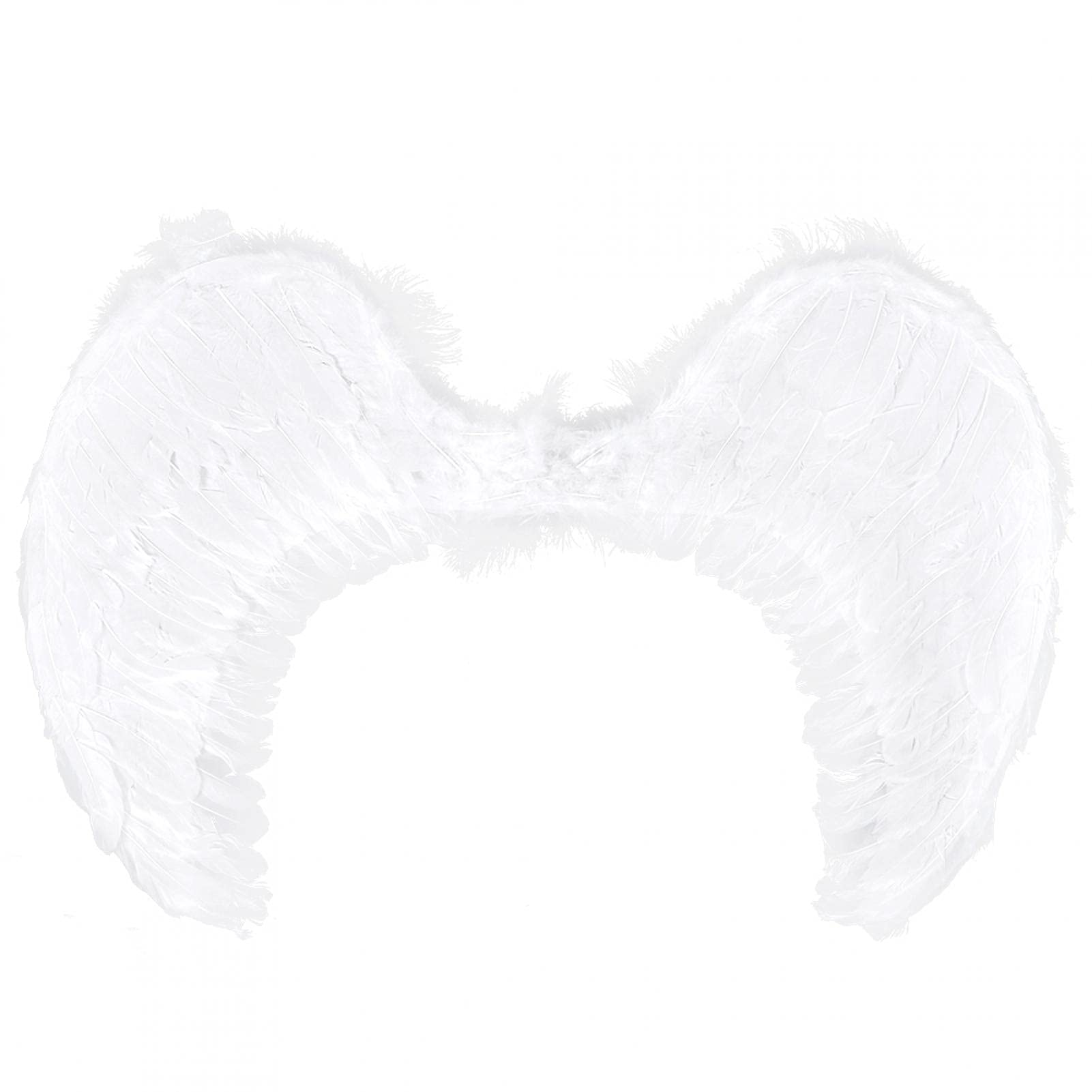 翼 羽根 写真 撮影 ウェディング スタジオ 小道具