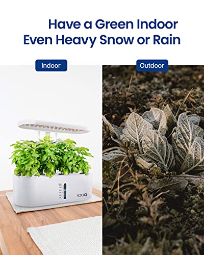 iDOO Tuinset voor binnen, slimme tuin met led-groeilamp, hydrocultuur-groeisysteem met automatische timer, kiemset voor… - Afbeelding 5