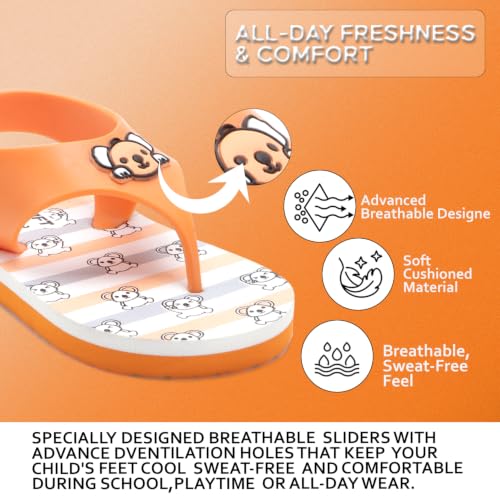 Image of Duosoft Kids Flip Flop Sandals with Bear Motif, Slippers for Baby Girl and Baby Boy, Indoor and Outdoor Slipper for Kids with Strap (K-401)