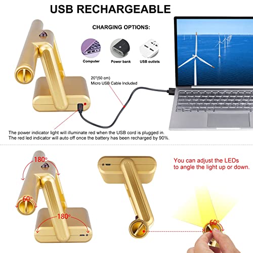 Luxsway Picture Lights With Rechargeable, Painting Light With Remote, 12 Colors Changing Artwork Light With Swivel Light Head, Dimmable Display Light For Dart Board Poster Art Gallery #TOP4