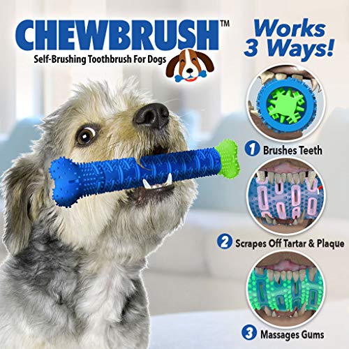 Image of BulbHead Chewbrush Toothbrush and Toy - No Dog Toothpaste Required - Great Teeth Cleaning Toy (1 Pack)